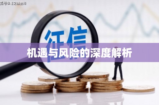 卑南机遇与风险的深度解析