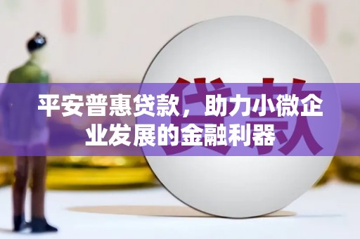 永登平安普惠贷款，助力小微企业发展的金融利器