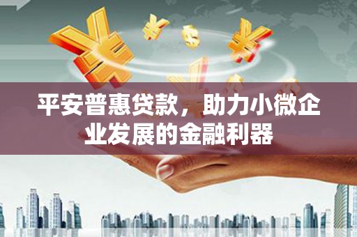 苍南平安普惠贷款，助力小微企业发展的金融利器