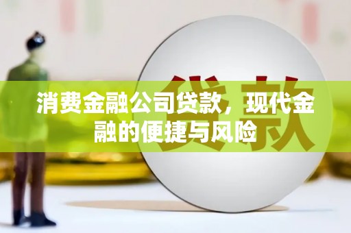 岑巩消费金融公司贷款，现代金融的便捷与风险