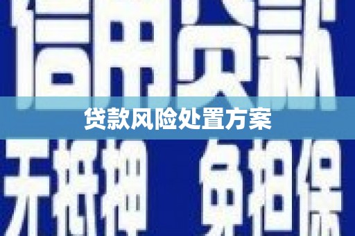 昌宁贷款风险处置方案