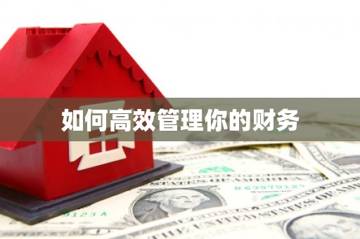 右玉如何高效管理你的财务
