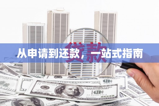 疏勒从申请到还款，一站式指南
