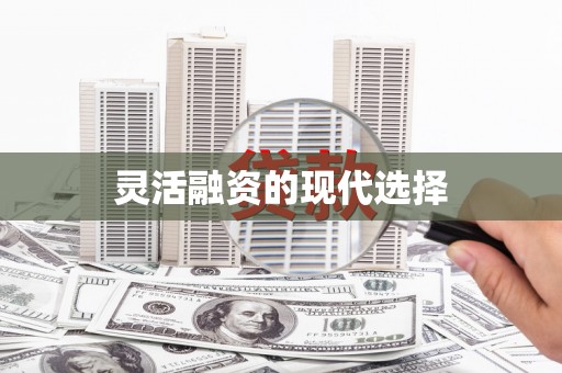 斗门灵活融资的现代选择