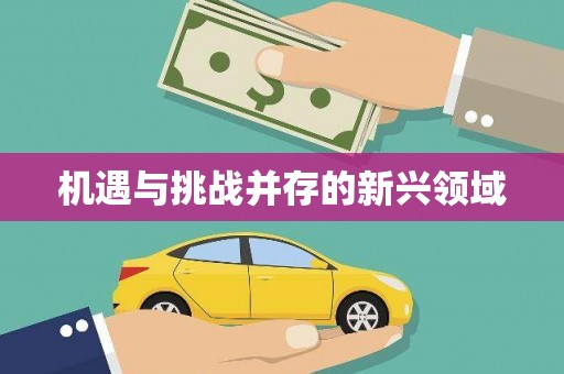 吉州机遇与挑战并存的新兴领域