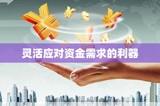 内湖灵活应对资金需求的利器