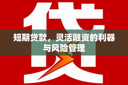 宜宾短期贷款，灵活融资的利器与风险管理