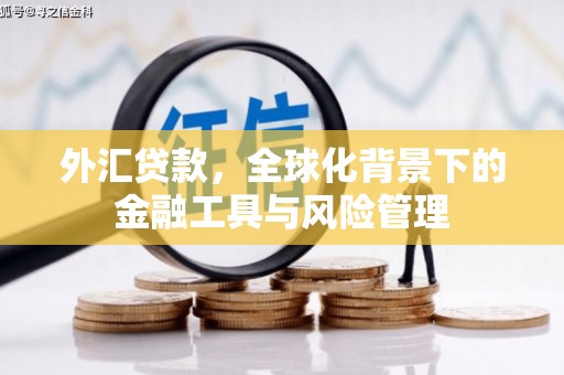 武鸣外汇贷款，全球化背景下的金融工具与风险管理